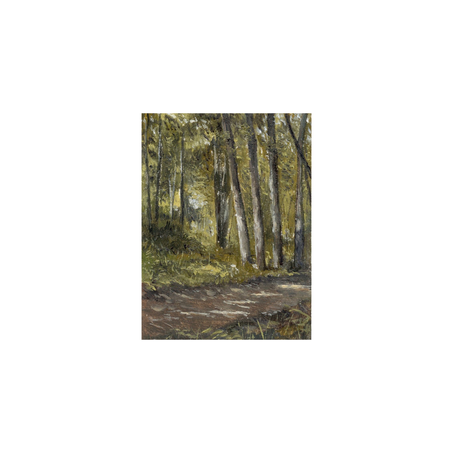 Dappled Light
