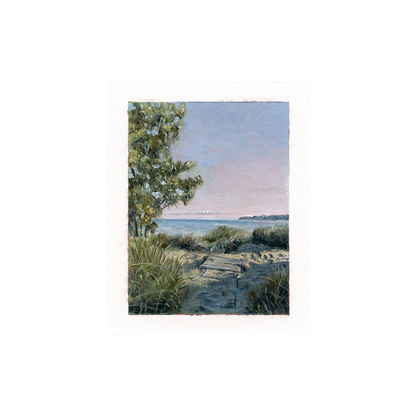 Dune Grass