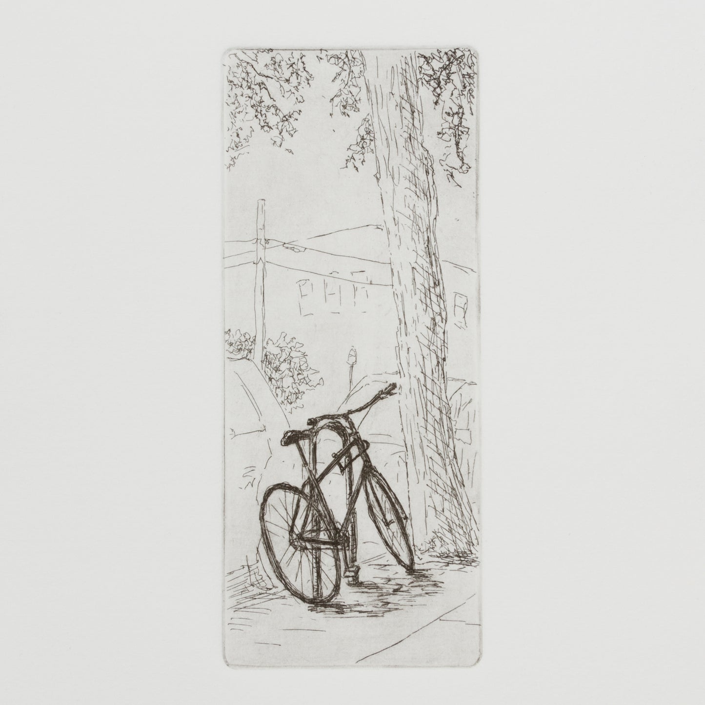 Urban Bicycle #2