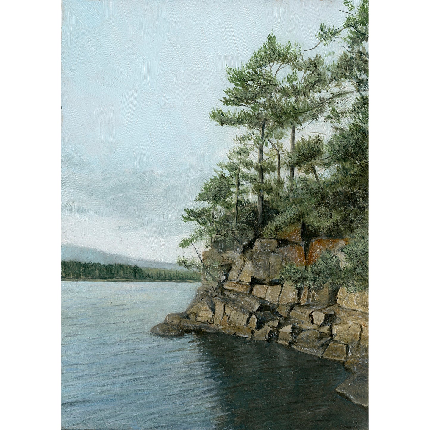 Pines on a Quiet Shore (5x7)