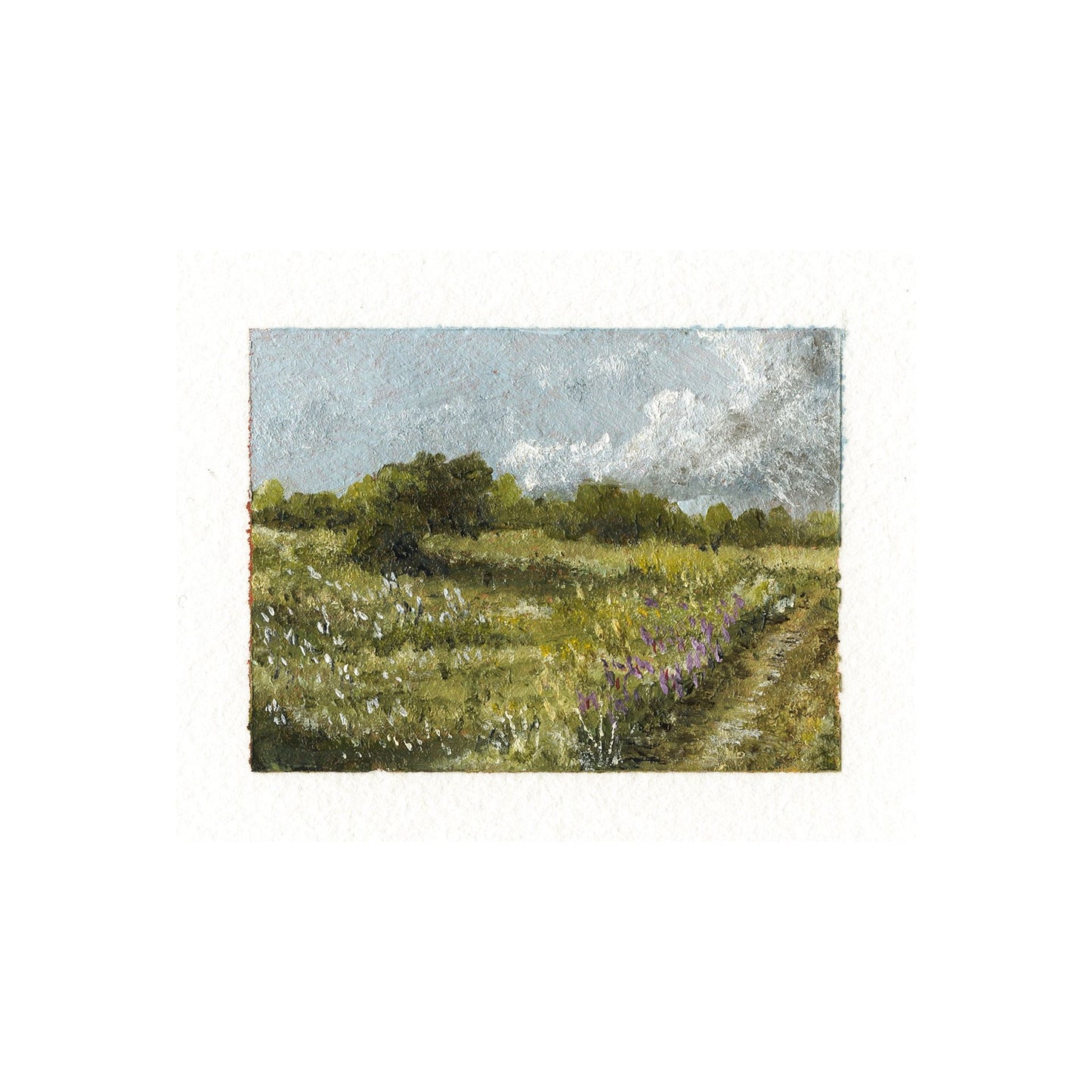 Soft Fields