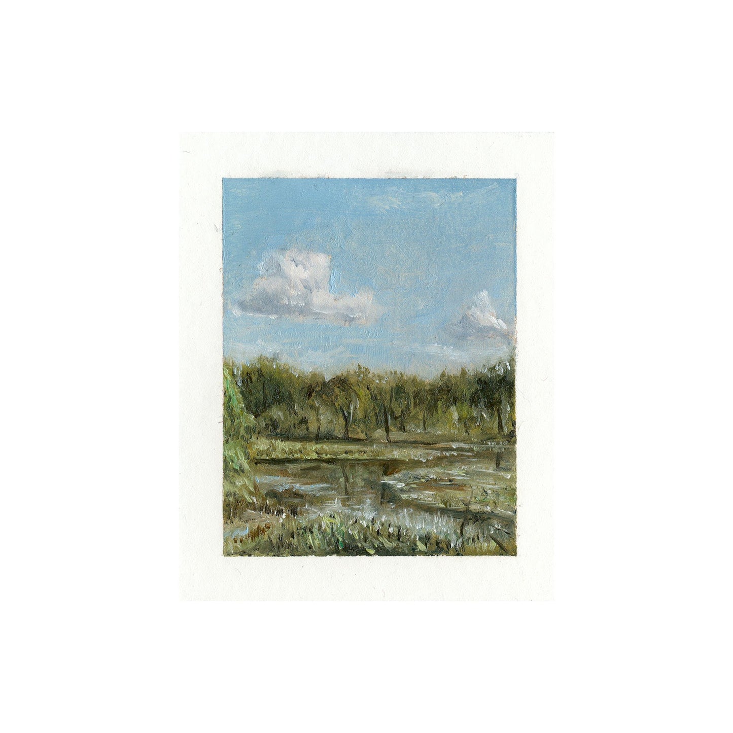 Wetlands and Rivers