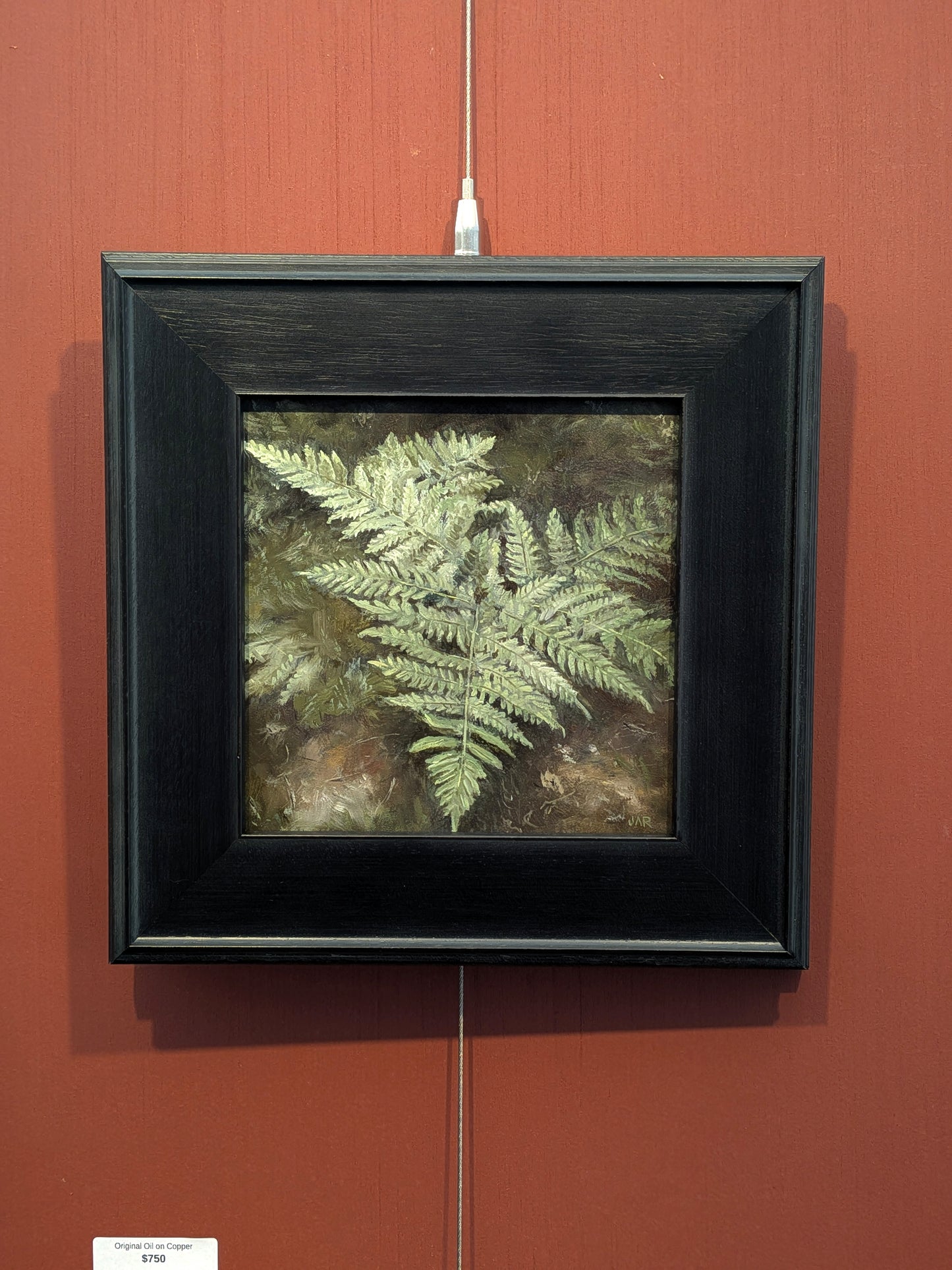 Ferns