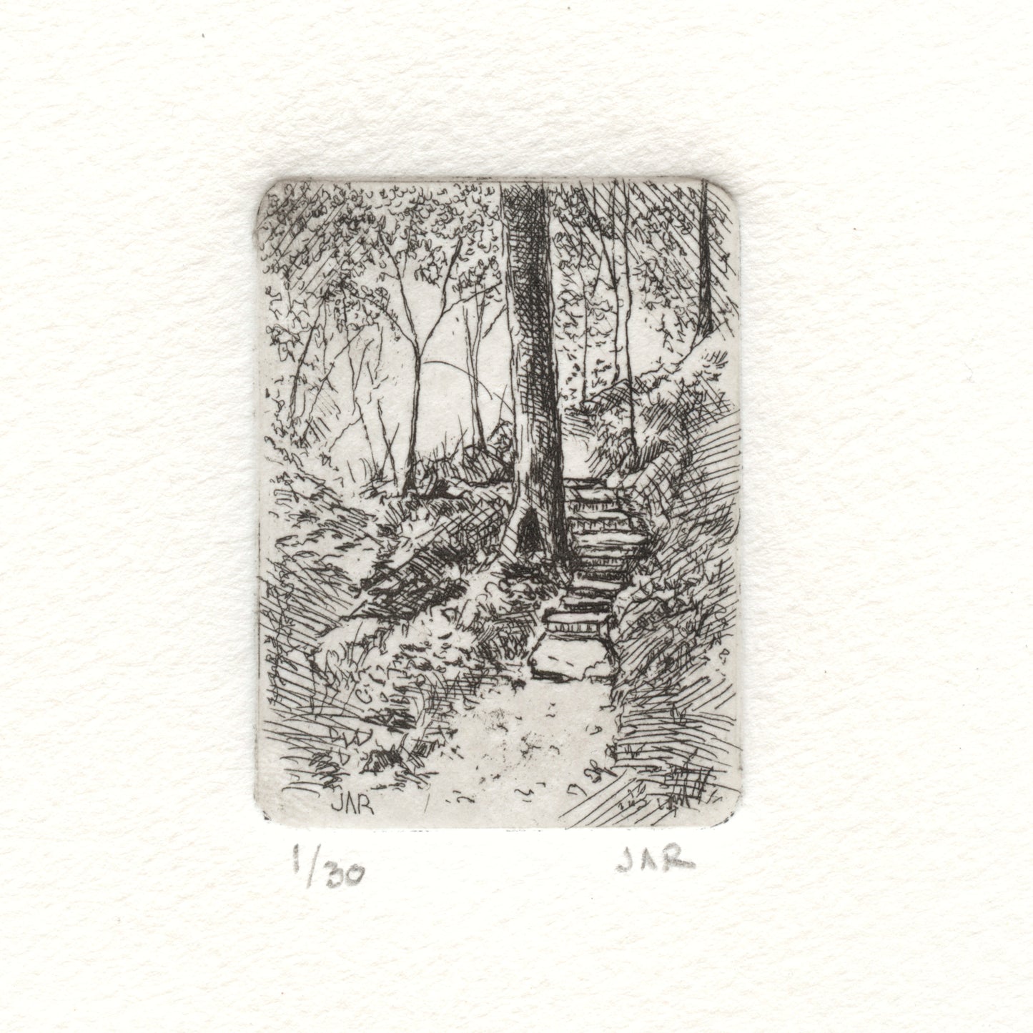 Forest Steps