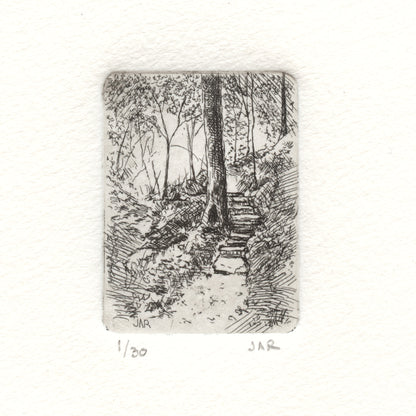 Forest Steps