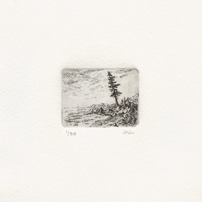 Crashing Waves