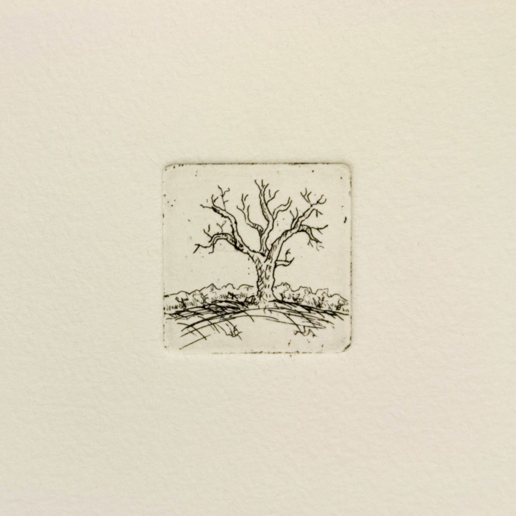 Fields Edge