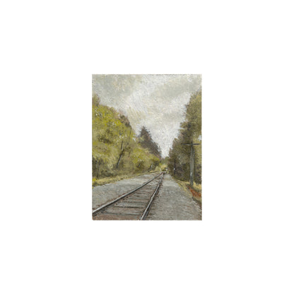 Forest Tracks