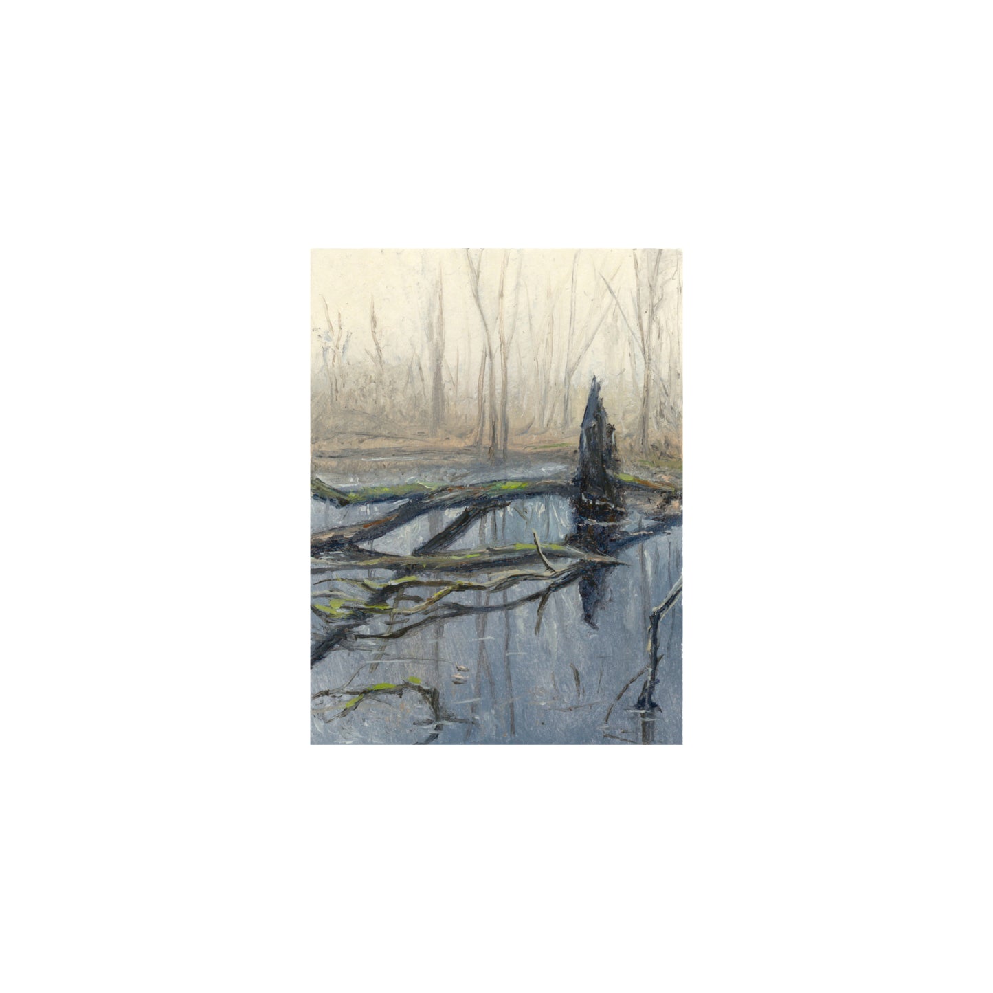 Lowland Fog