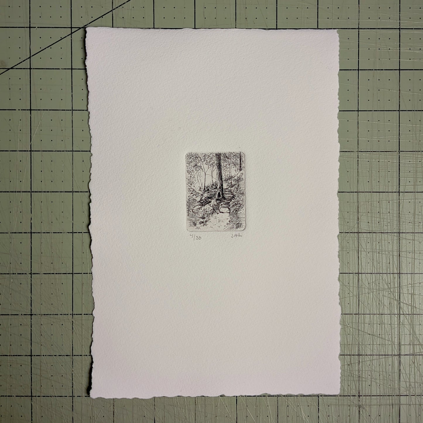 Forest Steps