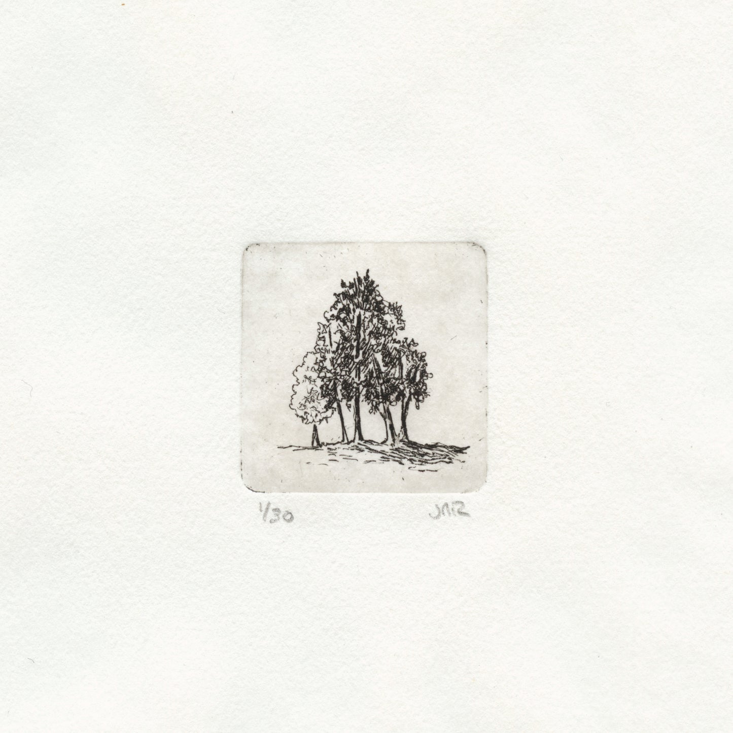 Tree Stand