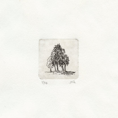 Tree Stand