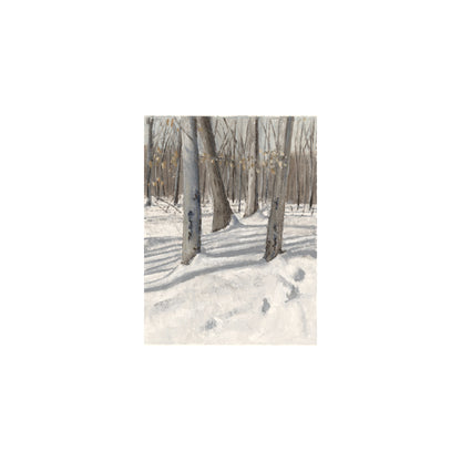 Winter Blanket