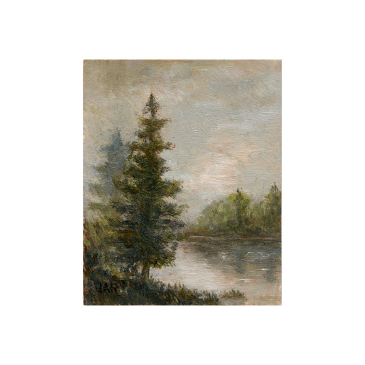 Seasoned Pines