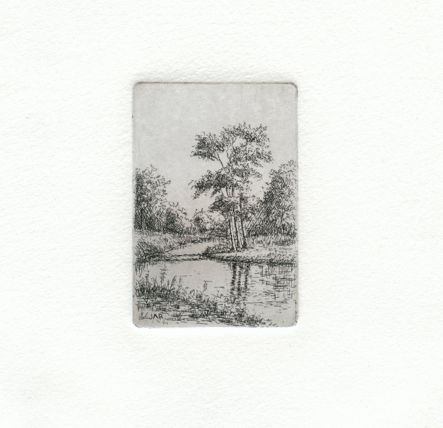 Quiet River Bend